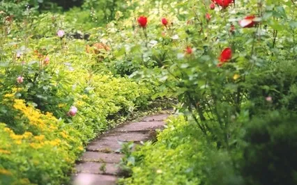 Safe Space Meditation