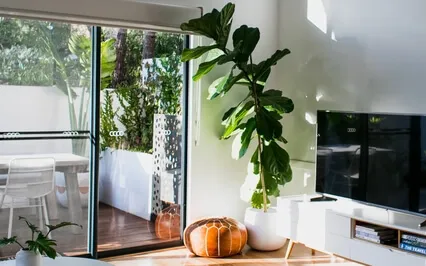 Safe Space Meditation