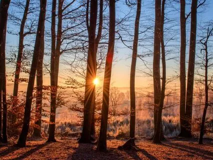 Safe Space: Meditation For Healing From Narcissistic Abuse