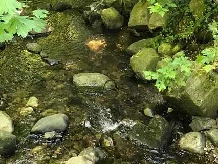 Safe Space - Visualization For Relaxation & Calmness