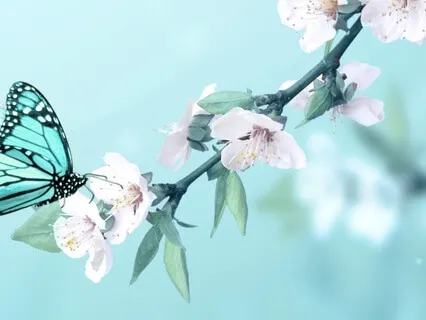 Safe To Be Seen: Stepping Into Authentic Presence