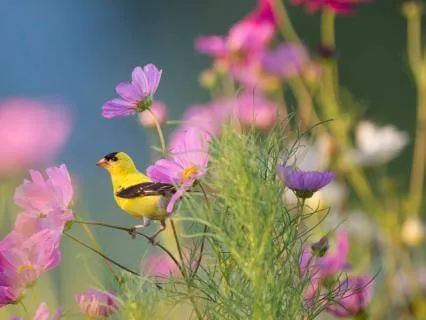 Safe To Begin: Morning Meditation To Feel Safe & Grounded