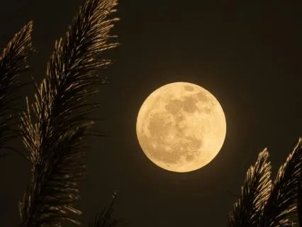 Safe To Fall Asleep - For Night Waking And Insomnia