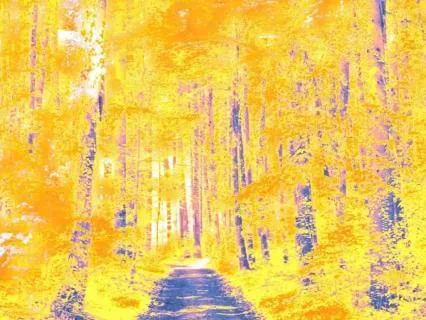 Safe To Receive: A Gentle Abundance Visualisation