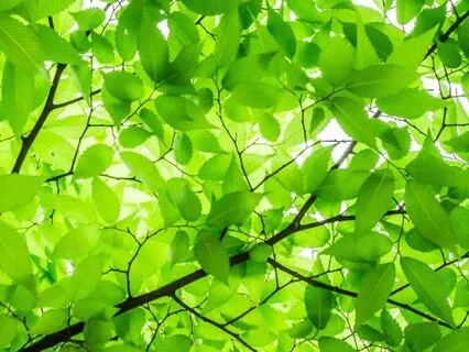 3-Minute Reset: When Receiving Blocks Abundance