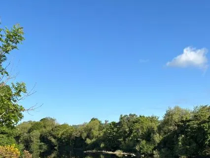 Safe To Sleep: A 12-Hour All-Night Rest Companion