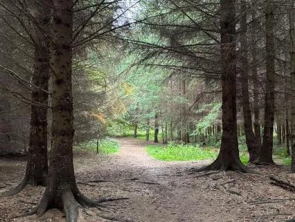 8 Hours Of Gentle Reassurance For Sleep (Looping Night Rest)