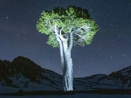 Safe To Sleep Through The Night: 9 Hour Grounding Nidra