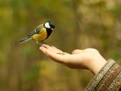 Safety And Self-trust Affirmations