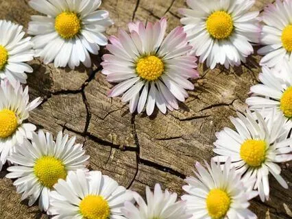 Safety Is In Being With Ourselves And Turning To The Creator