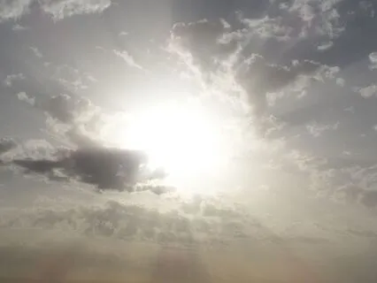 Sage Your Space In 3 Minutes - Reiki-Infused