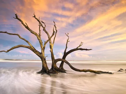 Sagesse Om Namah Shivaya