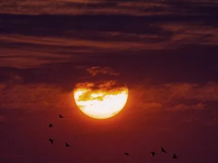 Sagittarius Full Moon Meditation - June 2023