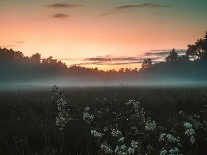 Sagittarius Meditation: Overcoming Fear