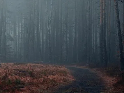 Sagittarius Meditation