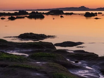 Sagittarius New Moon And Expanding Your Perspective