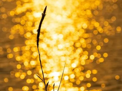 Sagittarius New Moon Of Vision & Expansion (No Music)