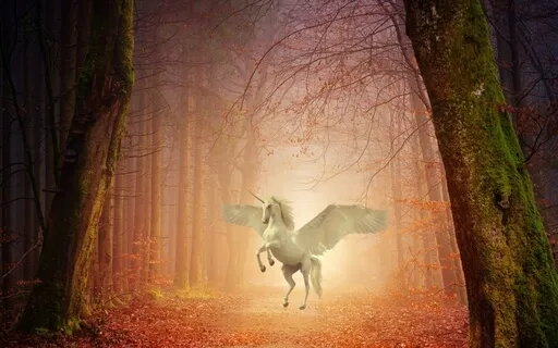 SagoNidra för sömn - Enhörning