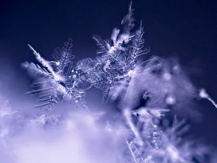 SagoNidra För Sömn - Snöfall