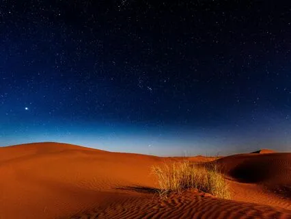 Sagrados Espíritus Del Origen