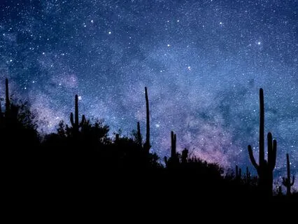 Saguaro Sanctuary Of Serenity: Enchanted Caravan Sleep Story