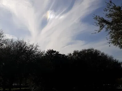 Saint Francis Of Assisi Prayer