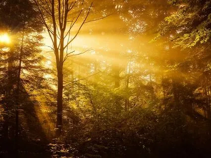 Saint Germain & The Great Central Sun