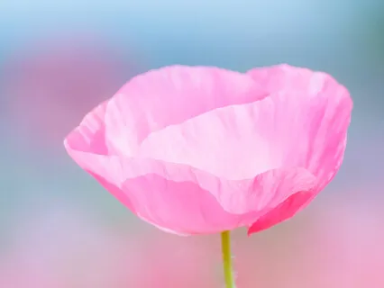 Saint Kabir's teachings on Love - Session 1