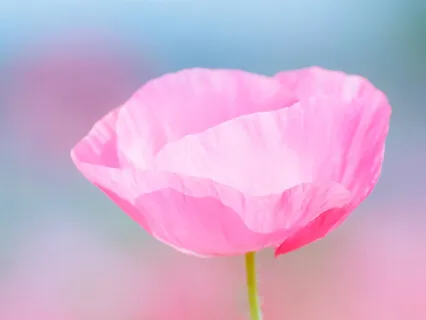 Saint Kabir's Teachings On Love - Session 3 