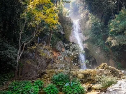 Salutations To Swyambhu