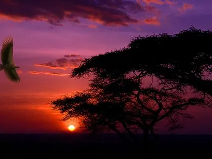 Samadhi (432 Hz) [Consciousness Expansion Music]