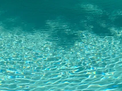 Сами Выбирайте Свои Реакции на Жизнь. Притча