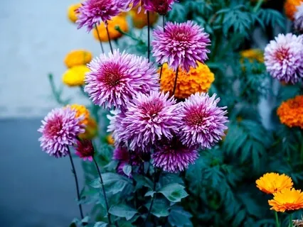 Samkhya Yoga - How To Know Real Self