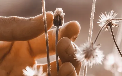 Самосострадание, как Путь к Эмоциональному Благополучию