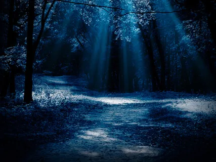 Moonbeam Journey: Embodiment