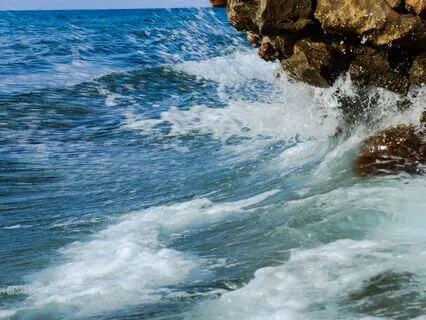 Sanación. Hígado. Tejido. Celular. Nervios. Intuición. (ADN)