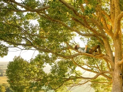 Sanctuary: Aap Sahaee Hoaa Sache Daa Sacha Doaa