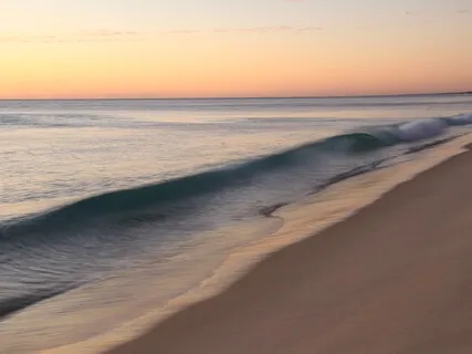 Sanctuary: Aap Sahaee Hoaa