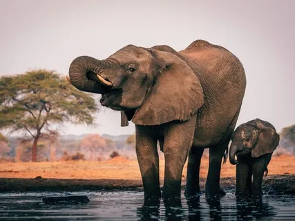 Sanctuary: Creating Rest