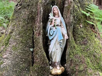 Sanctuary For Recovering Peace