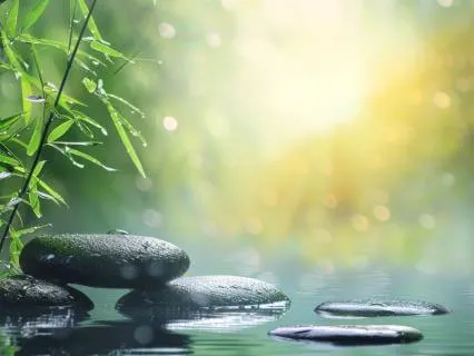Sanctuary ~ Healing Music & Nature For Somatic Calm ~ 22 Min