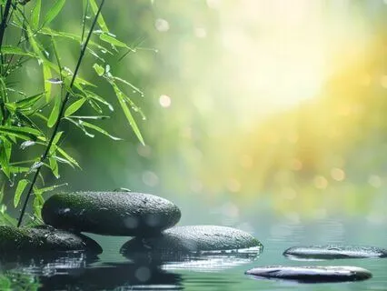 Sanctuary ~ Healing Music & Nature For Somatic Safety & Calm