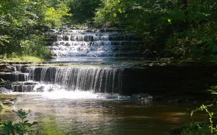 Sanctuary Is Where We Are