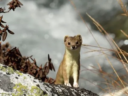 Sanctuary Of Light: A Journey Into Wholeness