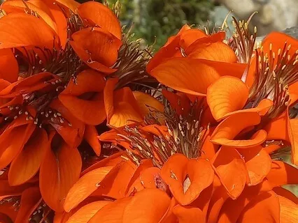 Sanctuary Of The Soul