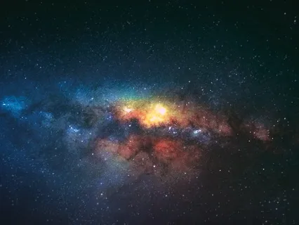 Sand Dollars – Nature’s Flattest Coinage For Sleepy Minds