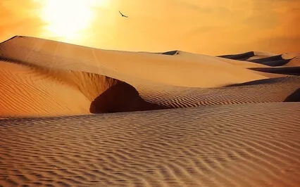 Sand Dunes