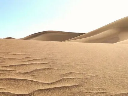 Sandhedens Vind - Giv Din Sjæl Stemme