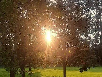 Sandy Shores Guided Visualisation Meditation