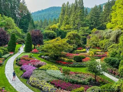 Sankalpa: Manifesting A Year Of Abundance